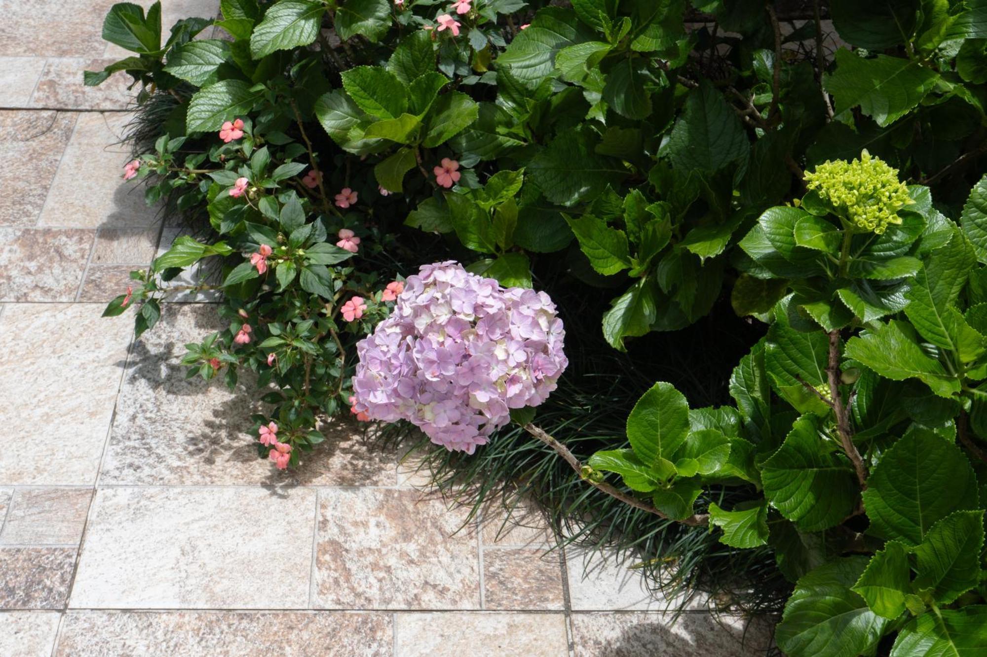 Chale Rosa Do Vale Lodge